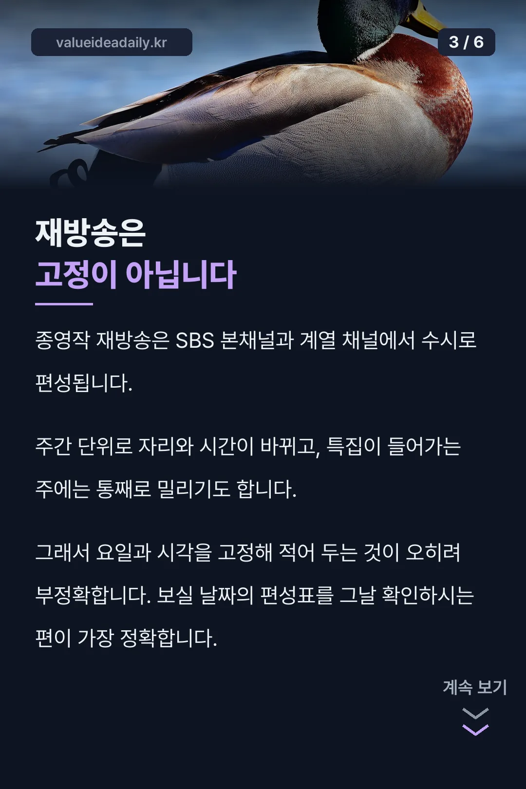 재방송은 고정이 아니다