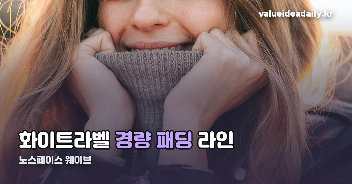 노스페이스 웨이브 정리 썸네일