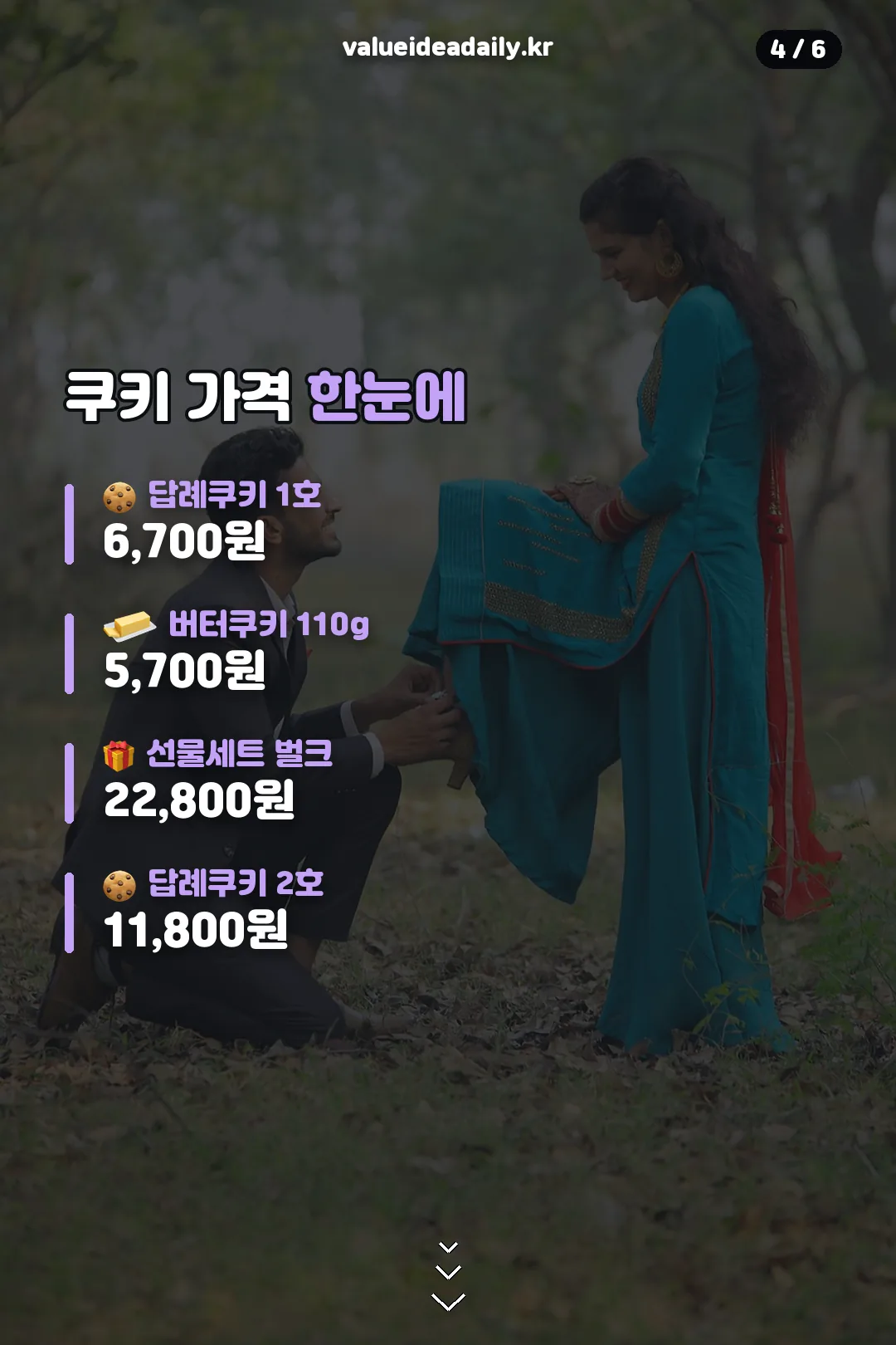 쿠키 가격 한눈에